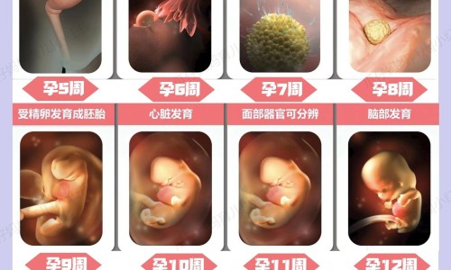 【天津格林国际幼儿园学费】妇良胶囊是消炎药吗 - 妇良胶囊消炎吗网